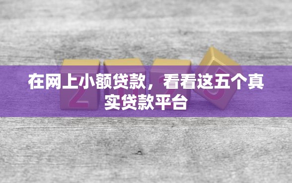 在网上小额贷款，看看这五个真实贷款平台