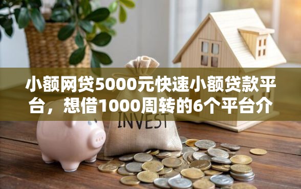 小额网贷5000元快速小额贷款平台，想借1000周转的6个平台介绍