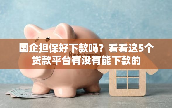 国企担保好下款吗？看看这5个贷款平台有没有能下款的