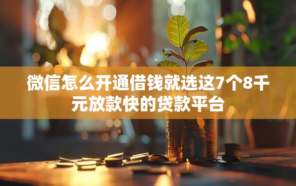 微信怎么开通借钱就选这7个8千元放款快的贷款平台