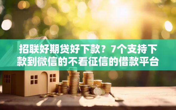 招联好期贷好下款？7个支持下款到微信的不看征信的借款平台百分百