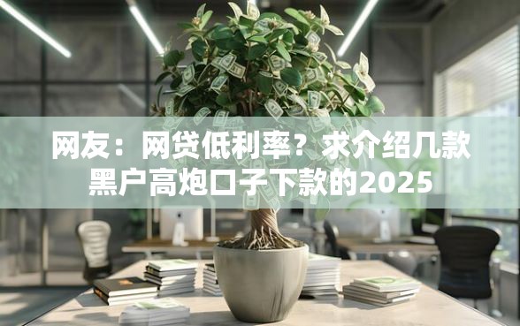 网友：网贷低利率？求介绍几款黑户高炮口子下款的2025