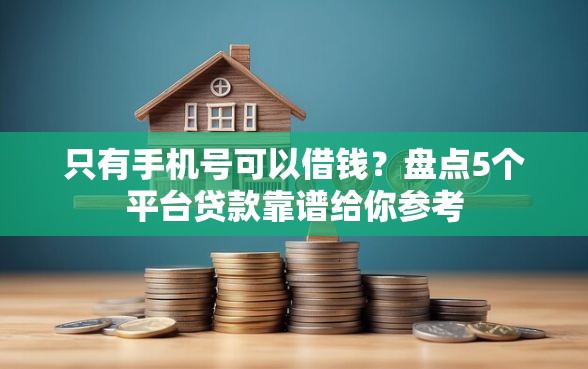 只有手机号可以借钱？盘点5个平台贷款靠谱给你参考