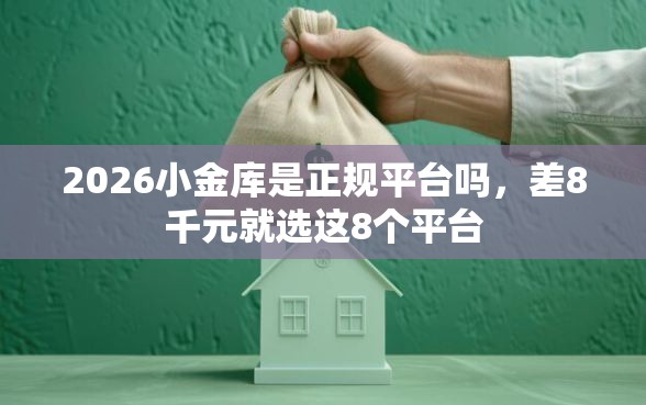 2026小金库是正规平台吗，差8千元就选这8个平台