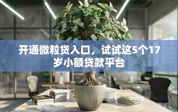 开通微粒贷入口，试试这5个17岁小额贷款平台