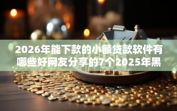 2026年能下款的小额贷款软件有哪些好网友分享的7个2025年黑户可以下款的口子我觉得不错！