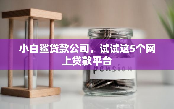 小白鲨贷款公司，试试这5个网上贷款平台