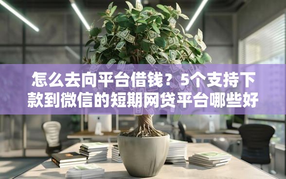 怎么去向平台借钱？5个支持下款到微信的短期网贷平台哪些好借