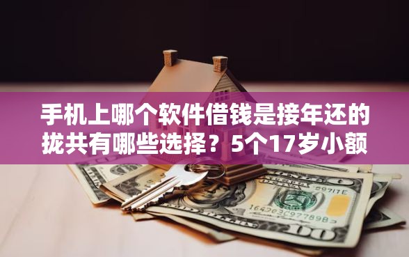 手机上哪个软件借钱是接年还的拢共有哪些选择？5个17岁小额贷款平台详解