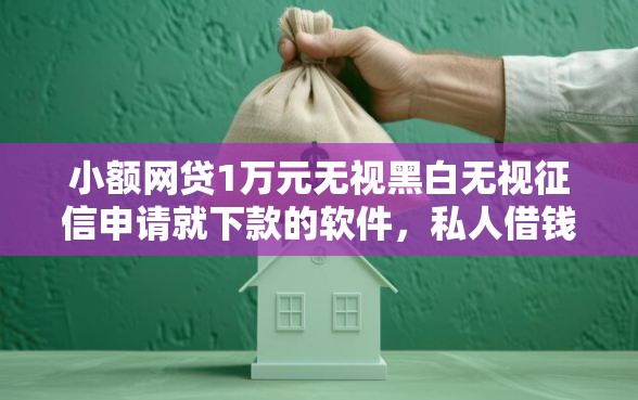 小额网贷1万元无视黑白无视征信申请就下款的软件，私人借钱的微信二维码的7个平台介绍