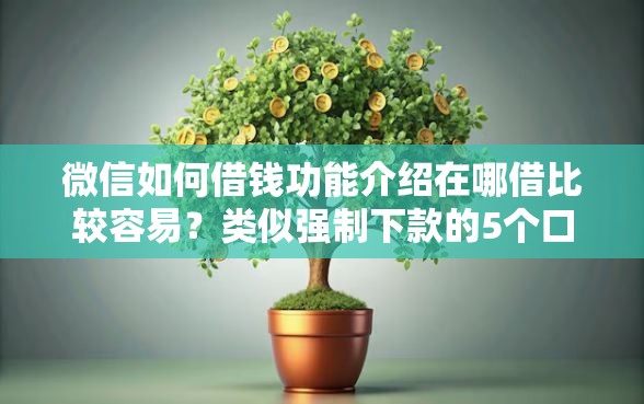 微信如何借钱功能介绍在哪借比较容易？类似强制下款的5个口子参考