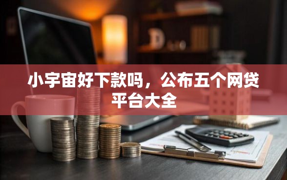 小宇宙好下款吗，公布五个网贷平台大全