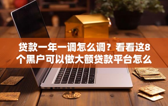 贷款一年一调怎么调？看看这8个黑户可以做大额贷款平台怎么样