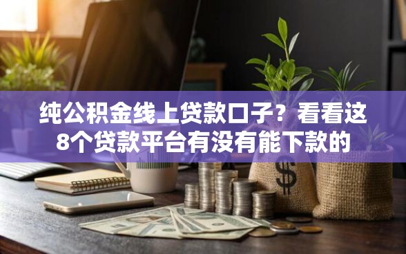 纯公积金线上贷款口子？看看这8个贷款平台有没有能下款的