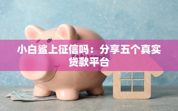 小白鲨上征信吗：分享五个真实贷款平台