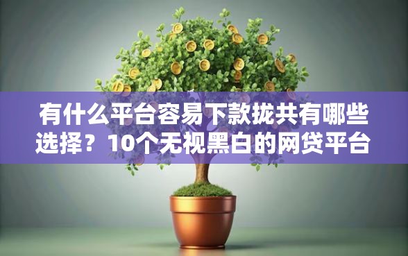 有什么平台容易下款拢共有哪些选择？10个无视黑白的网贷平台详解