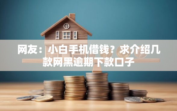网友：小白手机借钱？求介绍几款网黑逾期下款口子