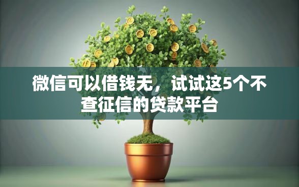 微信可以借钱无，试试这5个不查征信的贷款平台