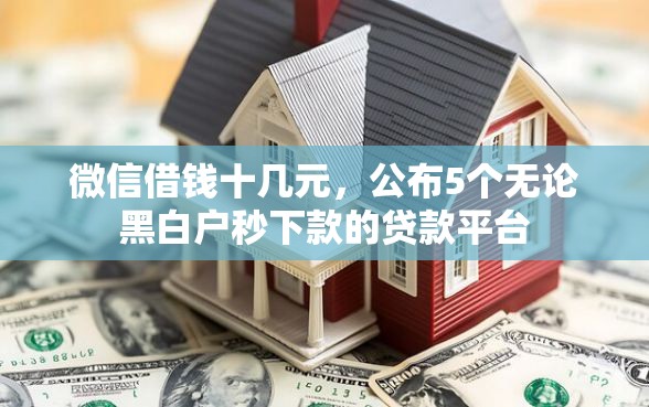 微信借钱十几元，公布5个无论黑白户秒下款的贷款平台