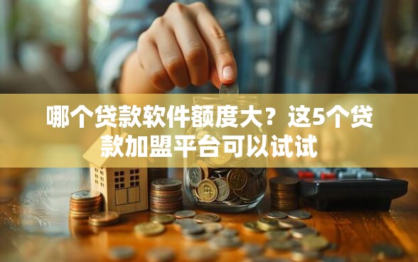 哪个贷款软件额度大？这5个贷款加盟平台可以试试