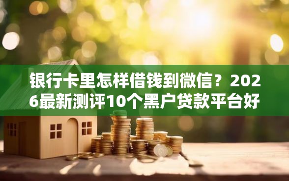银行卡里怎样借钱到微信？2026最新测评10个黑户贷款平台好下款快