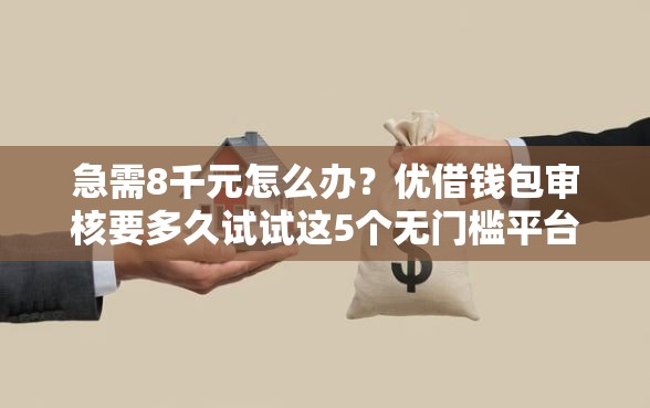 急需8千元怎么办？优借钱包审核要多久试试这5个无门槛平台