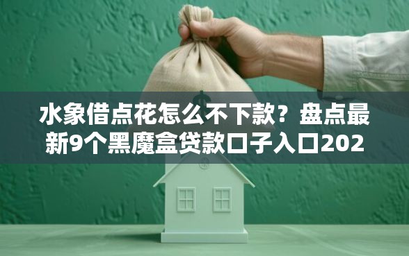 水象借点花怎么不下款？盘点最新9个黑魔盒贷款口子入口2025