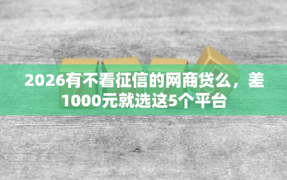 2026有不看征信的网商贷么，差1000元就选这5个平台
