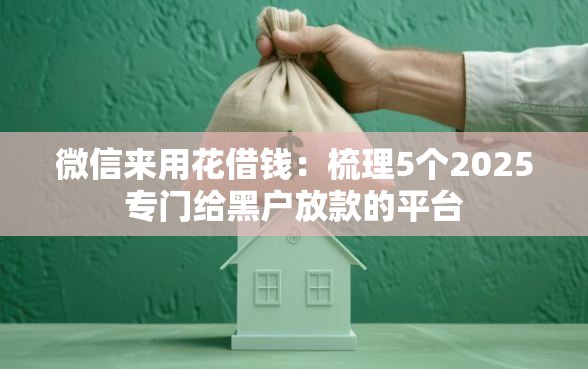 微信来用花借钱：梳理5个2025专门给黑户放款的平台