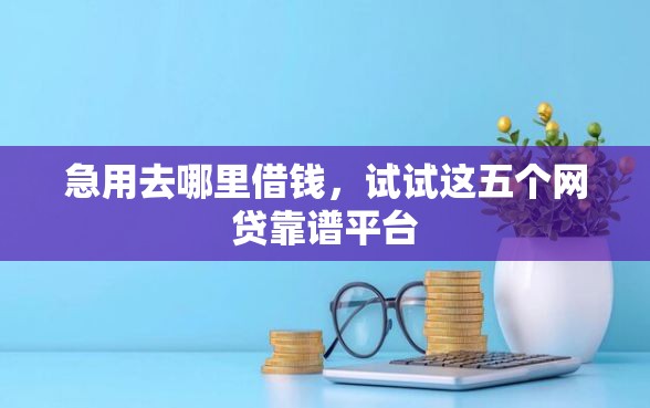 急用去哪里借钱，试试这五个网贷靠谱平台