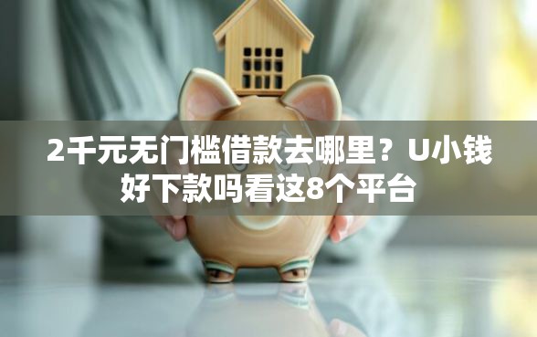 2千元无门槛借款去哪里？U小钱好下款吗看这8个平台