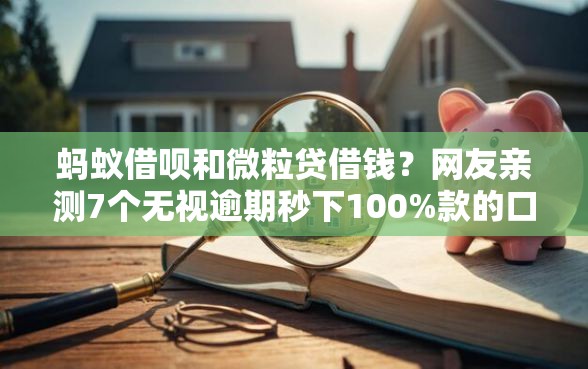 蚂蚁借呗和微粒贷借钱？网友亲测7个无视逾期秒下100%款的口子盘点
