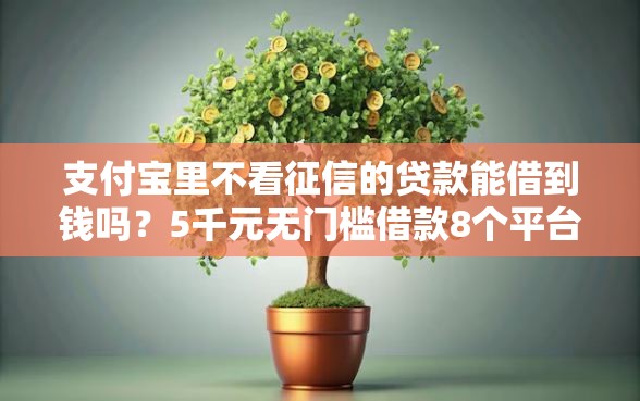 支付宝里不看征信的贷款能借到钱吗？5千元无门槛借款8个平台推荐