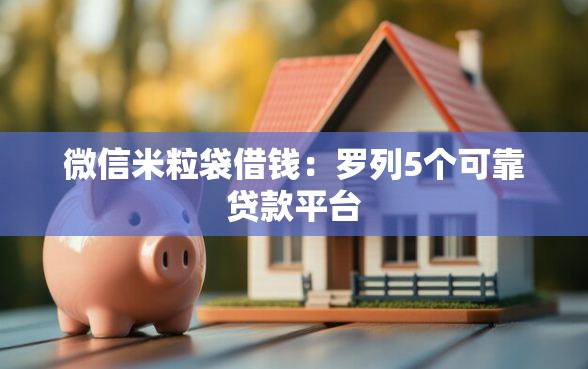 微信米粒袋借钱：罗列5个可靠贷款平台