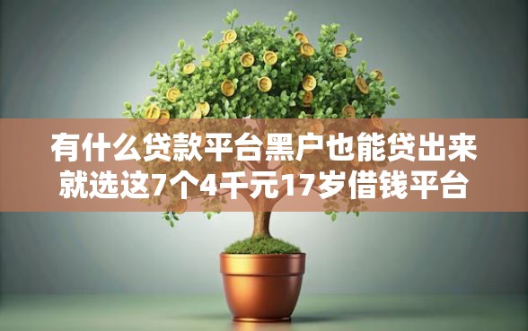 有什么贷款平台黑户也能贷出来就选这7个4千元17岁借钱平台