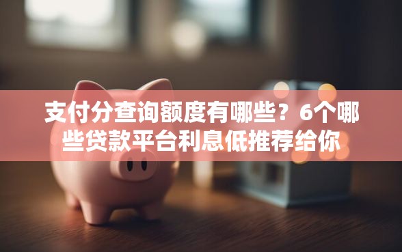支付分查询额度有哪些？6个哪些贷款平台利息低推荐给你