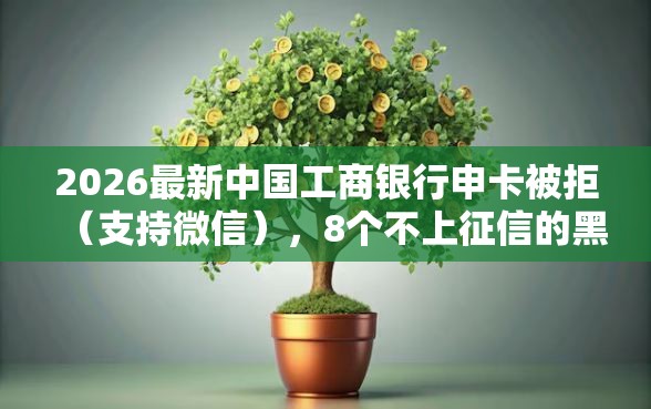 2026最新中国工商银行申卡被拒（支持微信），8个不上征信的黑口子无私分享