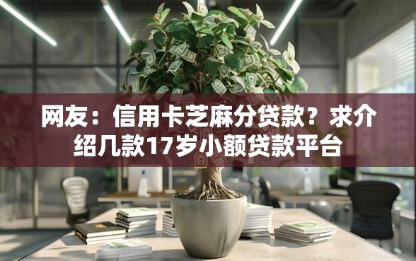 网友：信用卡芝麻分贷款？求介绍几款17岁小额贷款平台