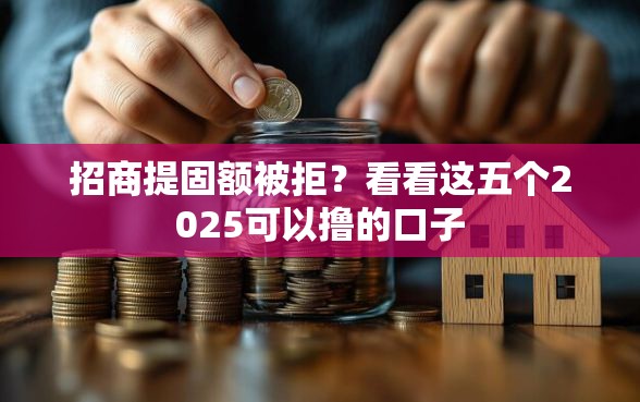 招商提固额被拒？看看这五个2025可以撸的口子