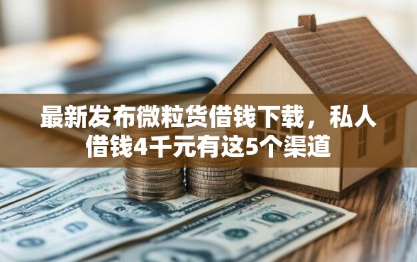 最新发布微粒货借钱下载，私人借钱4千元有这5个渠道