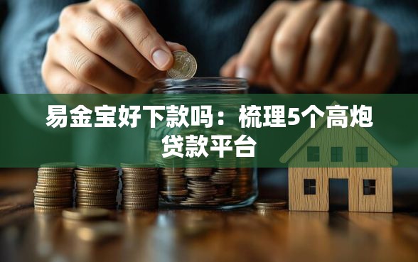 易金宝好下款吗：梳理5个高炮贷款平台