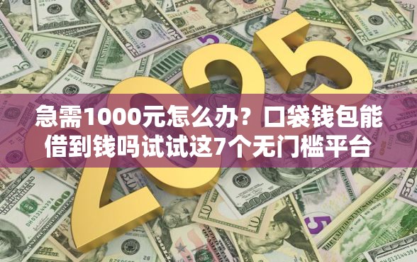 急需1000元怎么办？口袋钱包能借到钱吗试试这7个无门槛平台