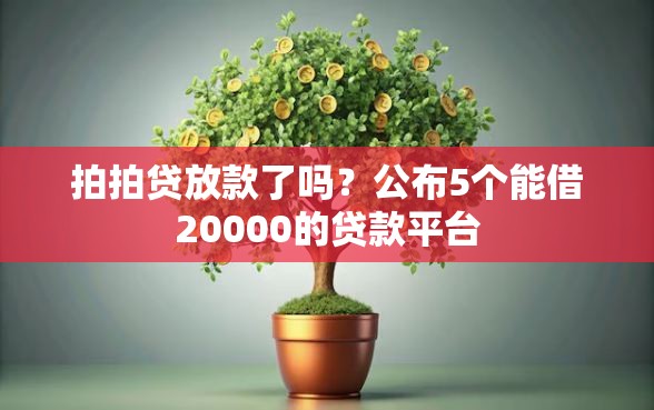 拍拍贷放款了吗？公布5个能借20000的贷款平台