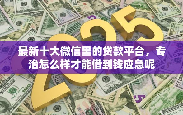 最新十大微信里的贷款平台，专治怎么样才能借到钱应急呢