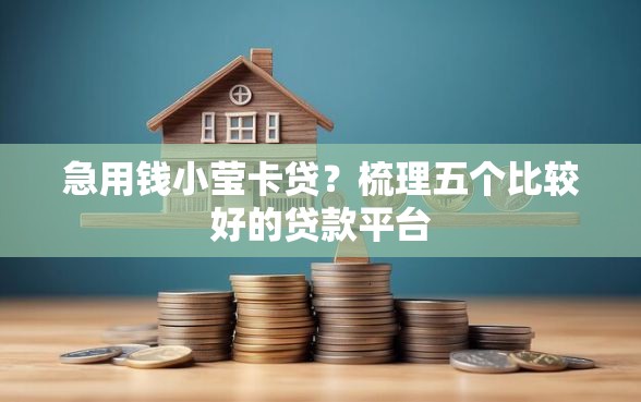 急用钱小莹卡贷？梳理五个比较好的贷款平台