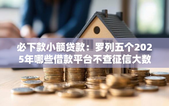 必下款小额贷款：罗列五个2025年哪些借款平台不查征信大数据
