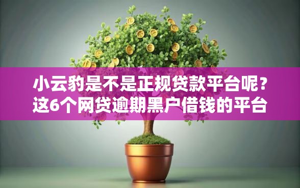 小云豹是不是正规贷款平台呢？这6个网贷逾期黑户借钱的平台能借可以试试