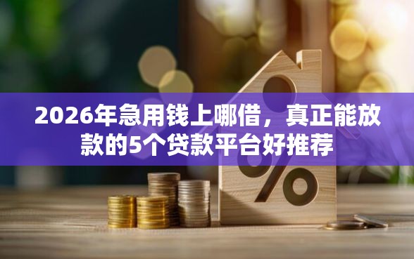 2026年急用钱上哪借，真正能放款的5个贷款平台好推荐