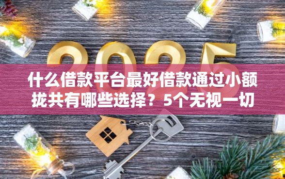 什么借款平台最好借款通过小额拢共有哪些选择？5个无视一切包下款5000秒下款的口子详解