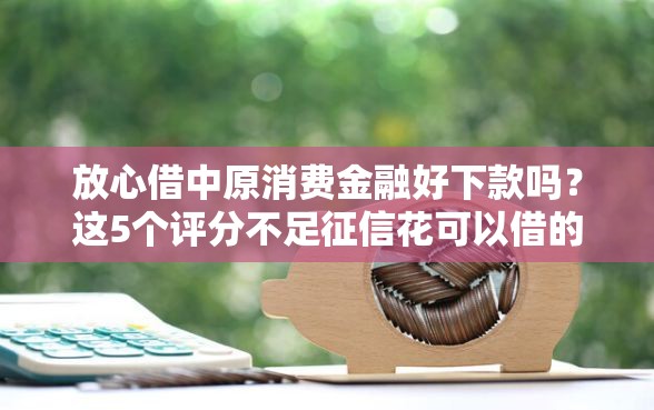 放心借中原消费金融好下款吗？这5个评分不足征信花可以借的平台值得一试